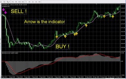 Most reliable binary options signals